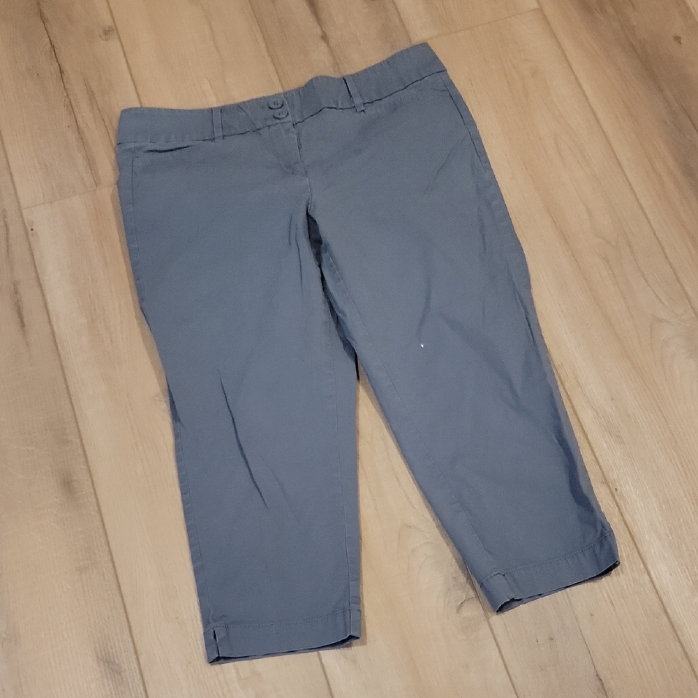 Loft Outlet Blue/Gray Cropped Pants Size 8P
